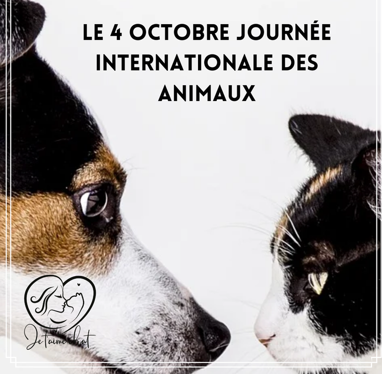4 octobre – journée mondiale des animaux